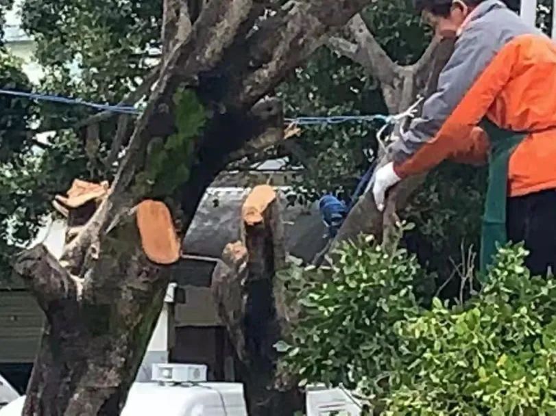 保山新闻网