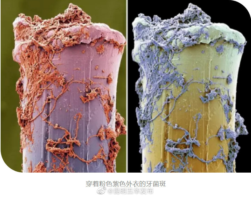 “昆明五华发布”微博
