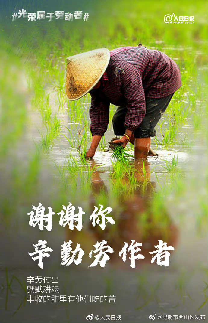 昆明市西山区发布