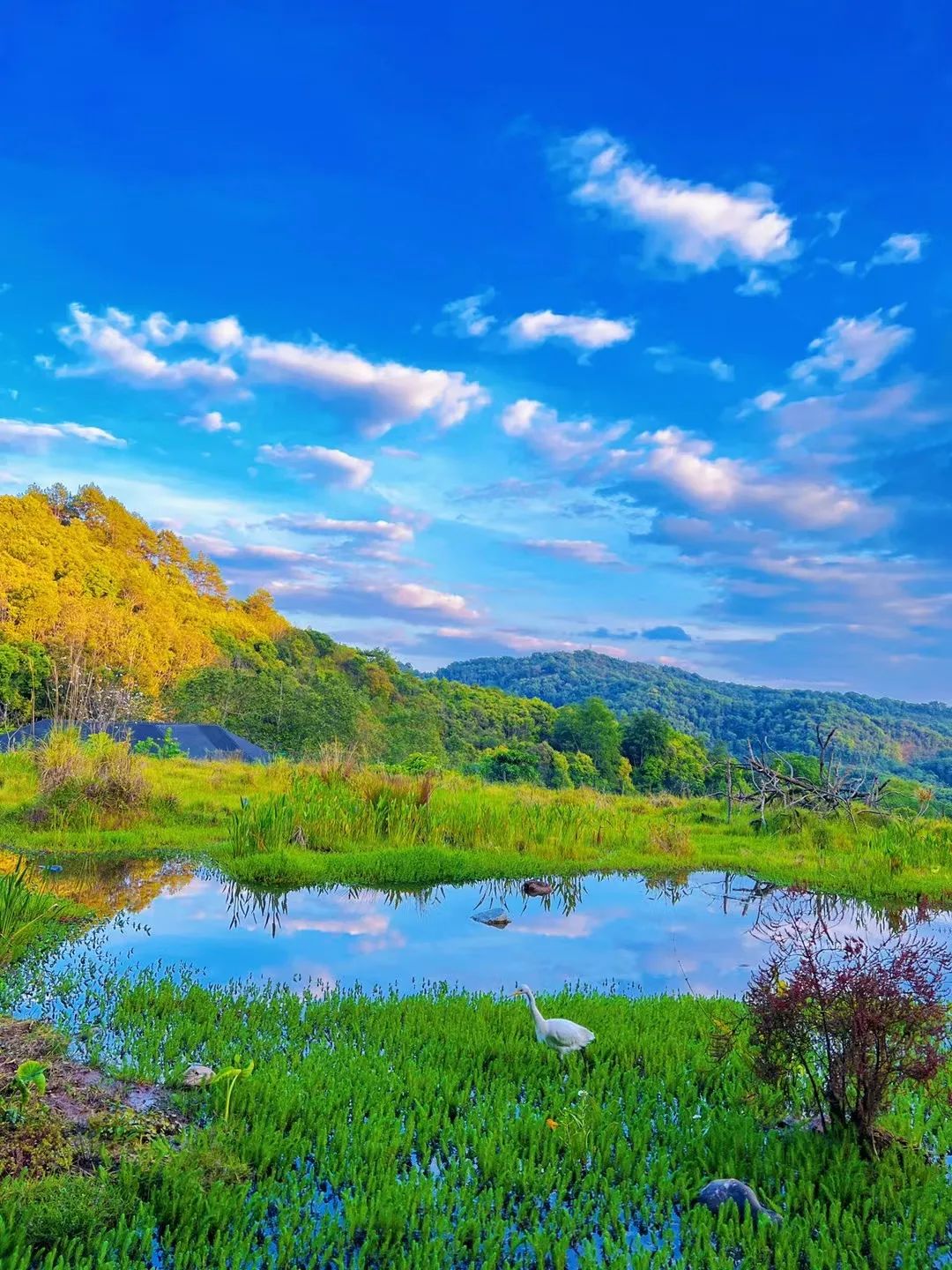 云南野生动物园