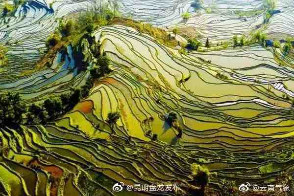 云南省未来24小时天气预报