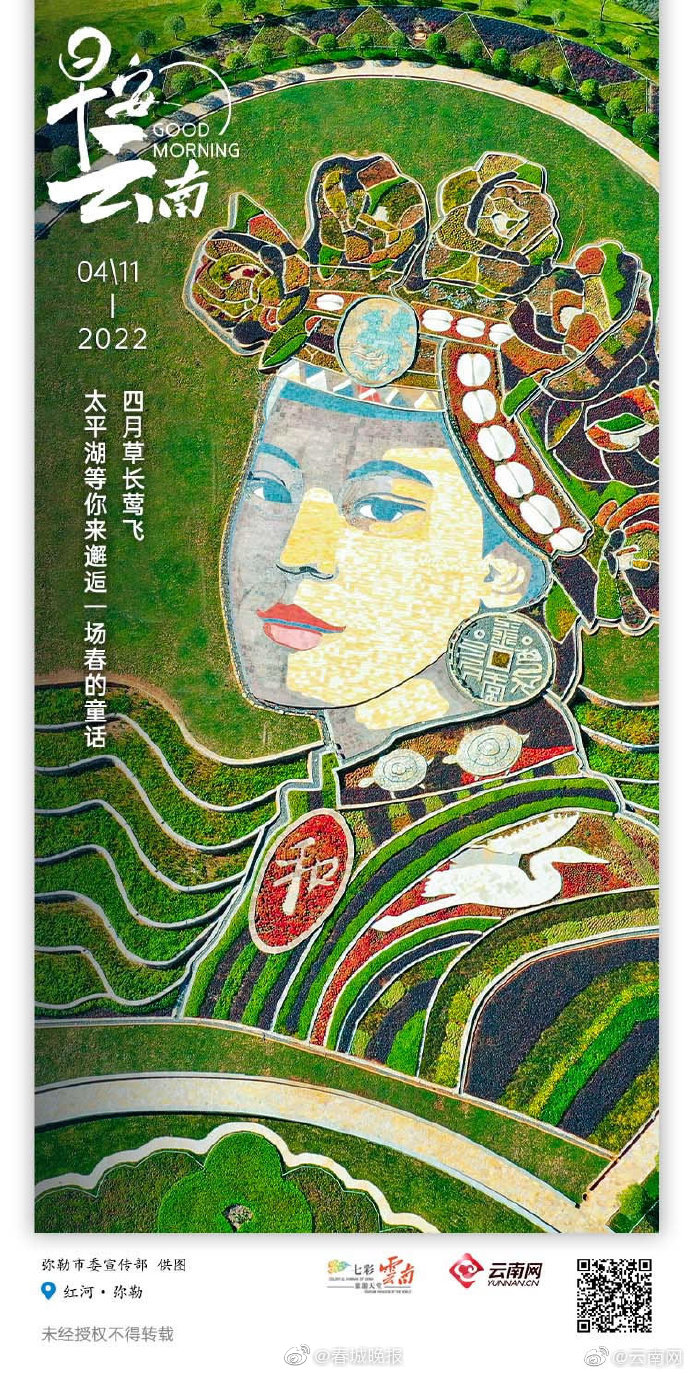 去弥勒太平湖森林小镇，赴一场春日花海之约