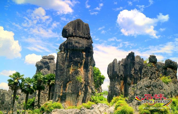 石林旅游网