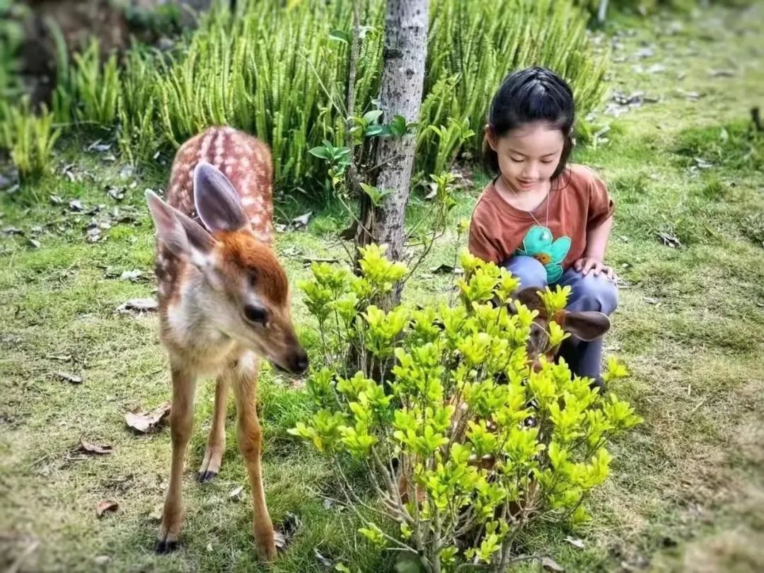 云南野生动物园