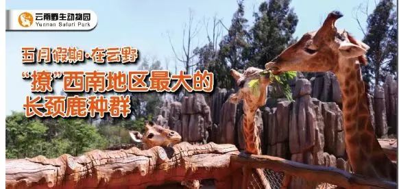 云南野生动物园