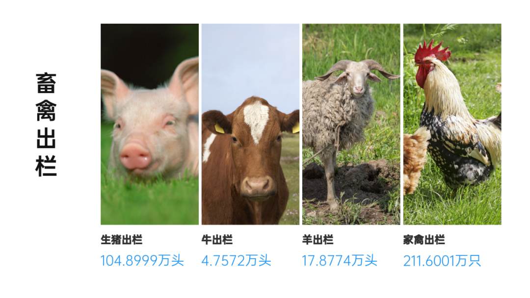 昭通日报