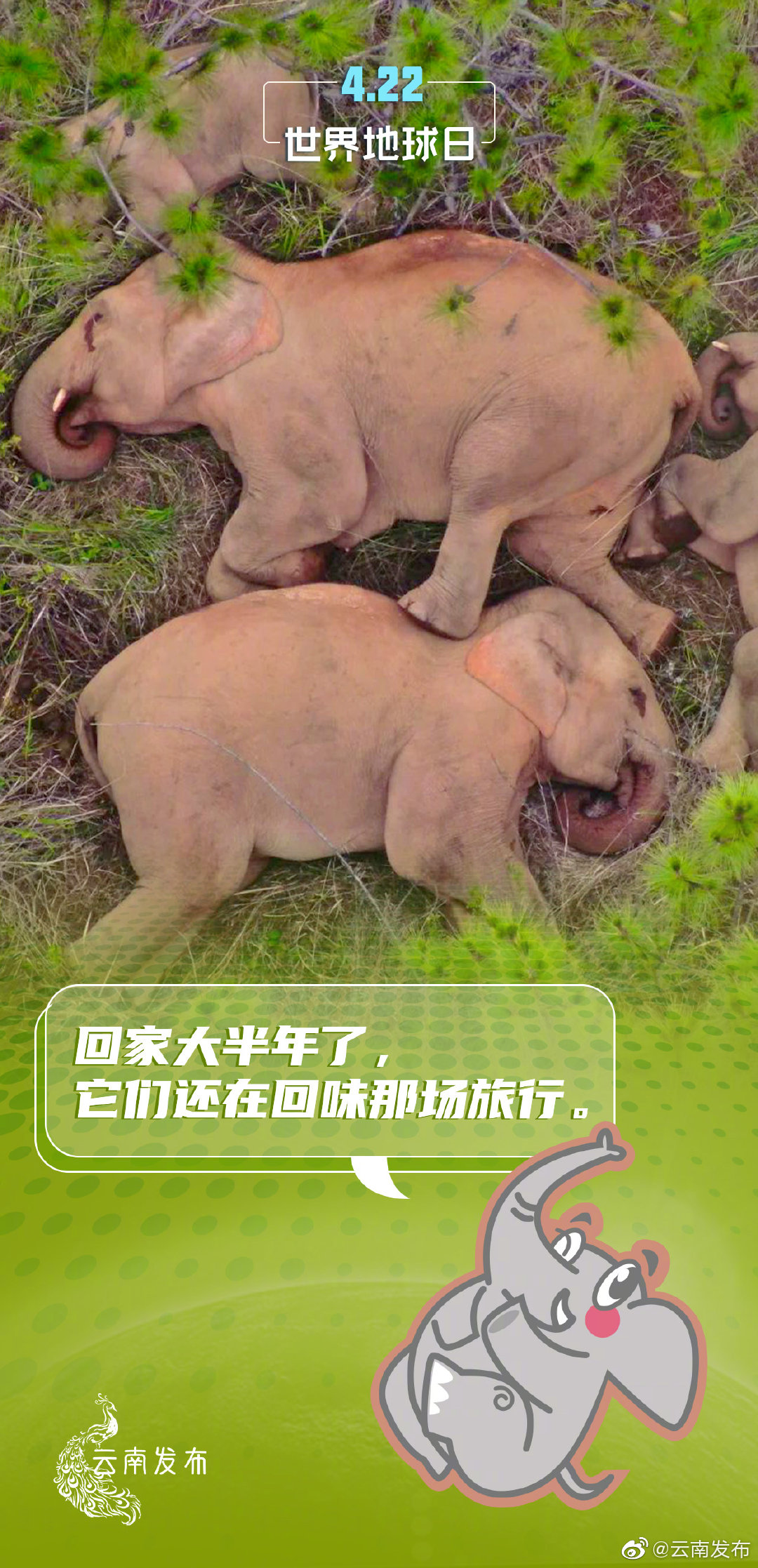 “云南发布”微博