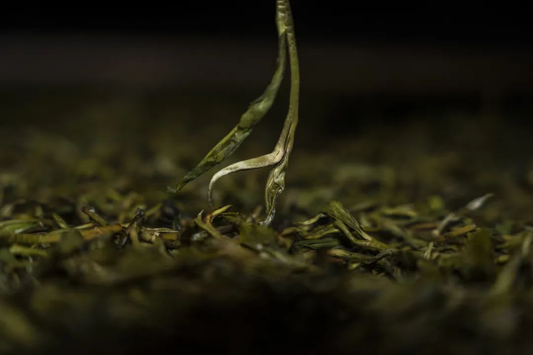 普洱日报