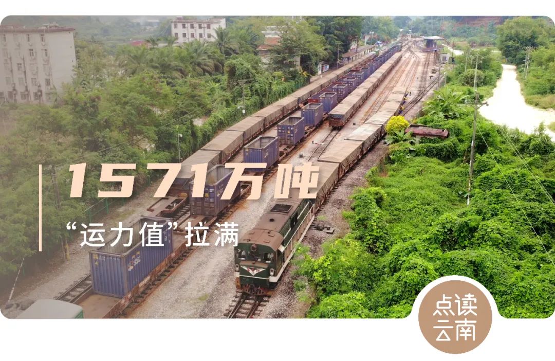 云南省人民政府网