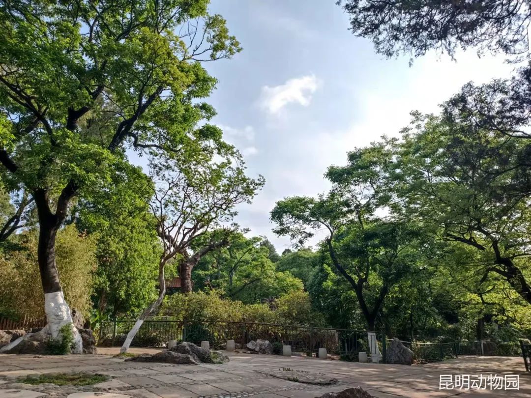 昆明动物园