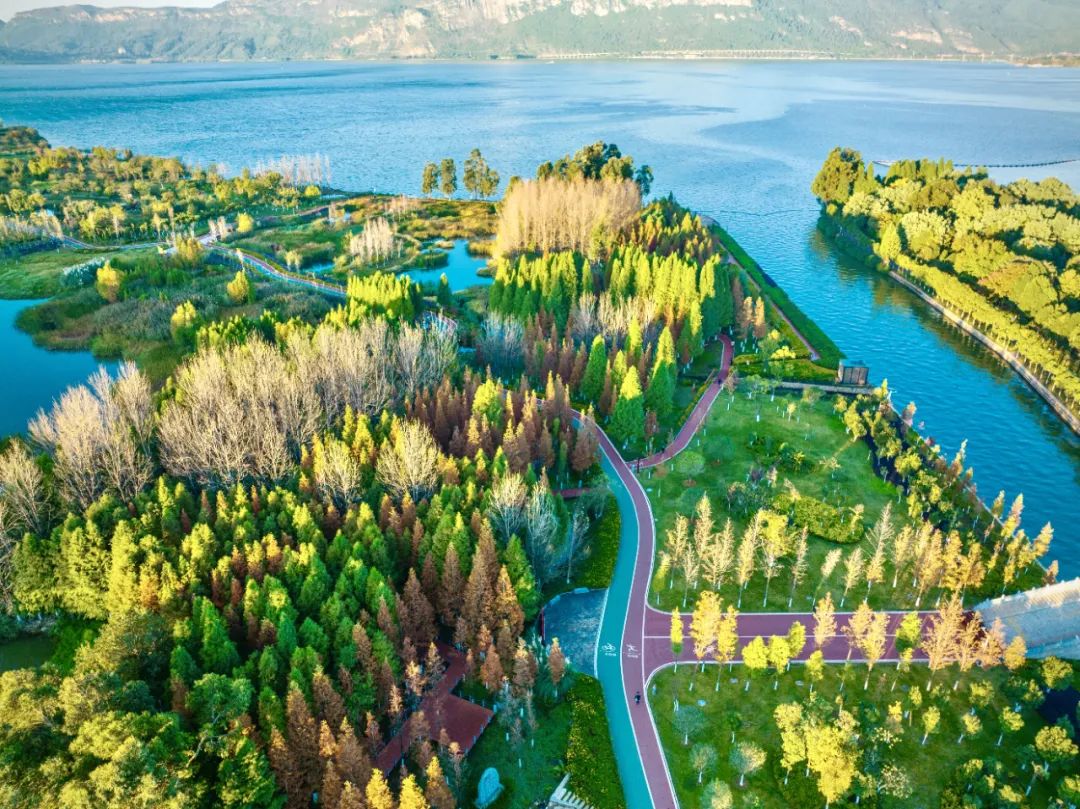 掌上春城微信公众号