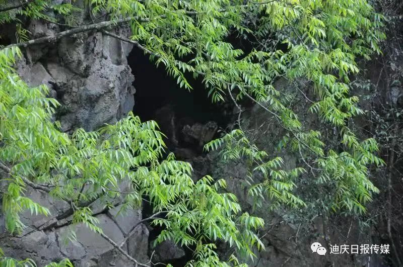 迪庆日报传媒
