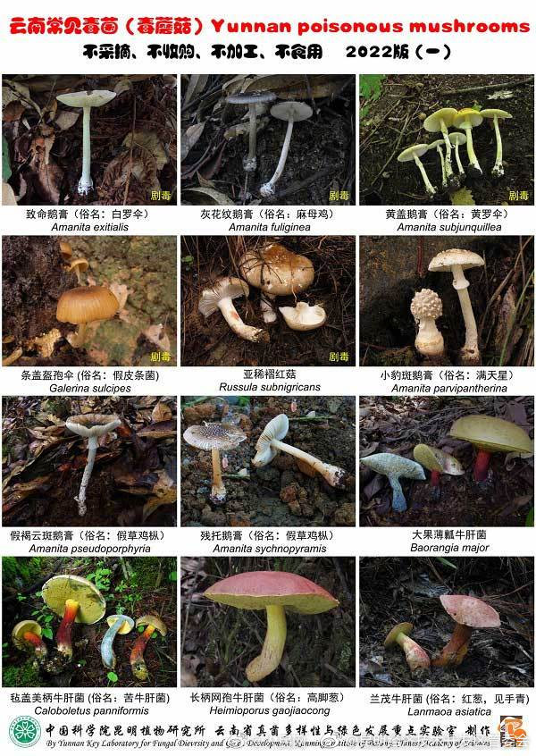 昆明经济技术开发区管委会