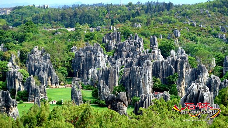 石林旅游网