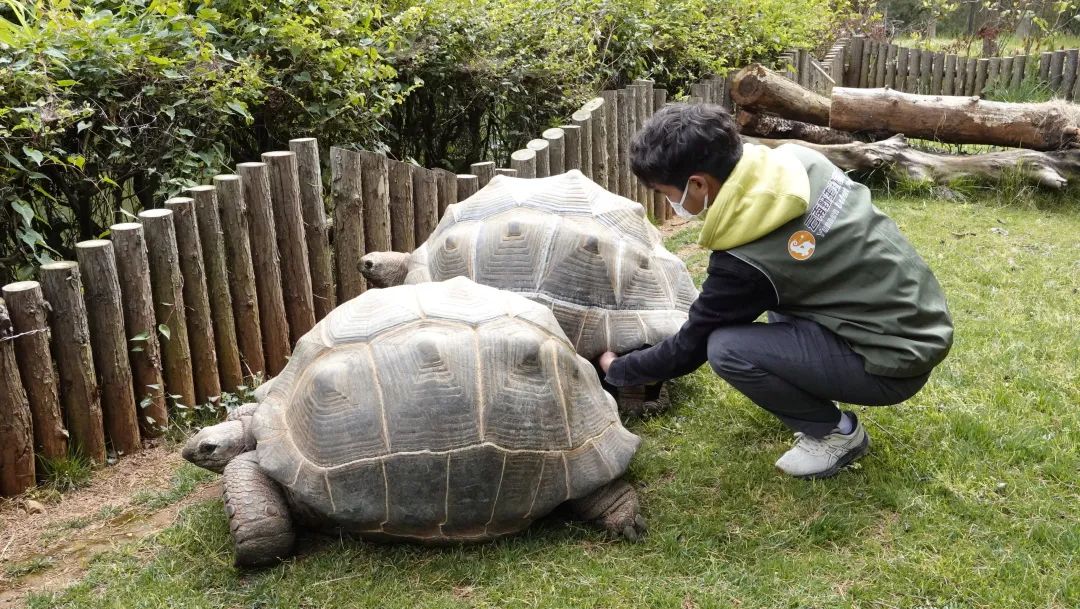 云南野生动物园