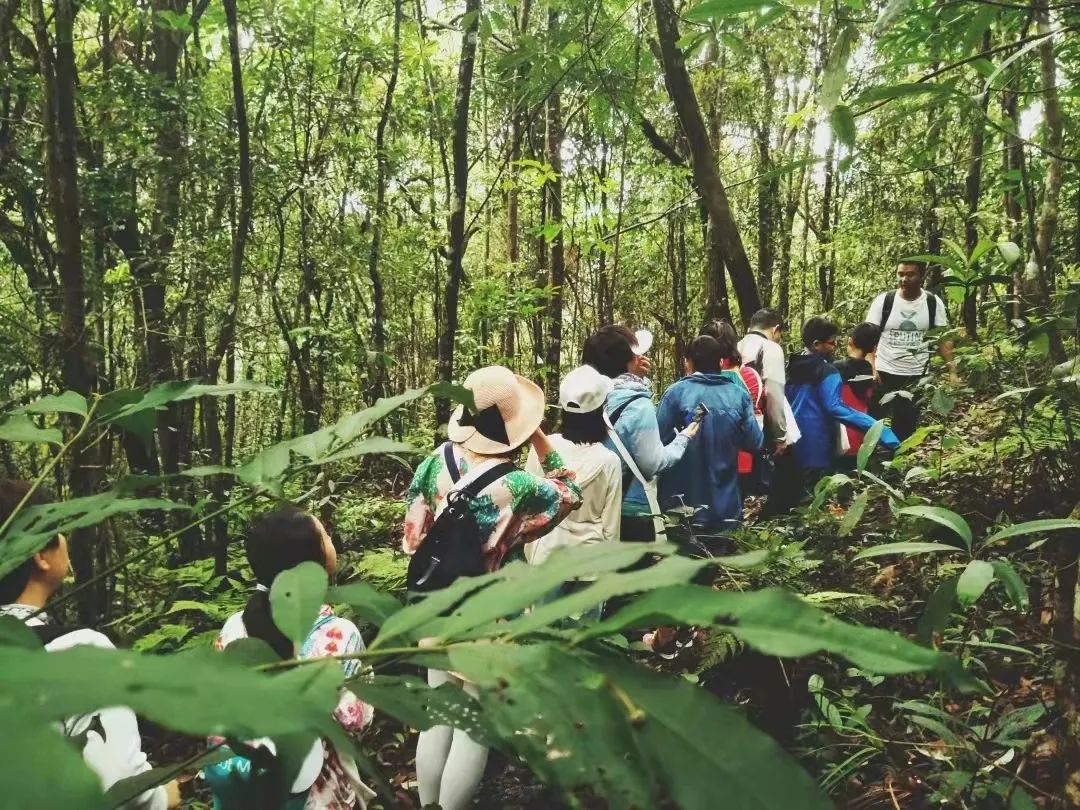 云南野生动物园