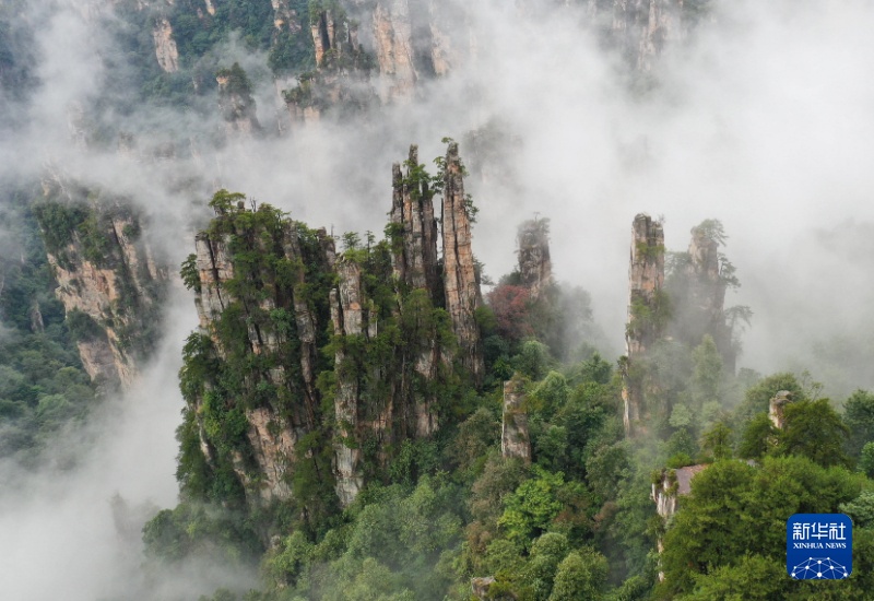云南省文化和旅游厅