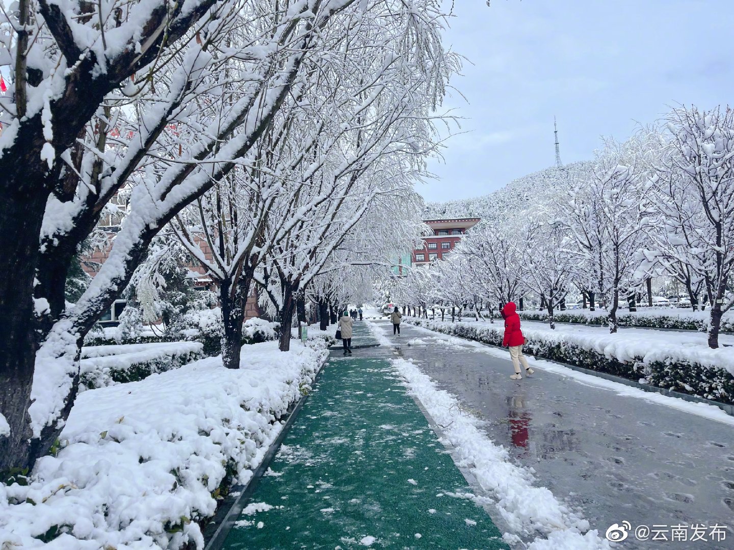 “云南发布”微博