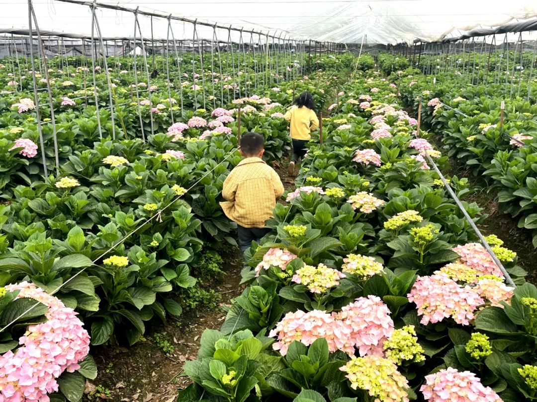 玉溪发布