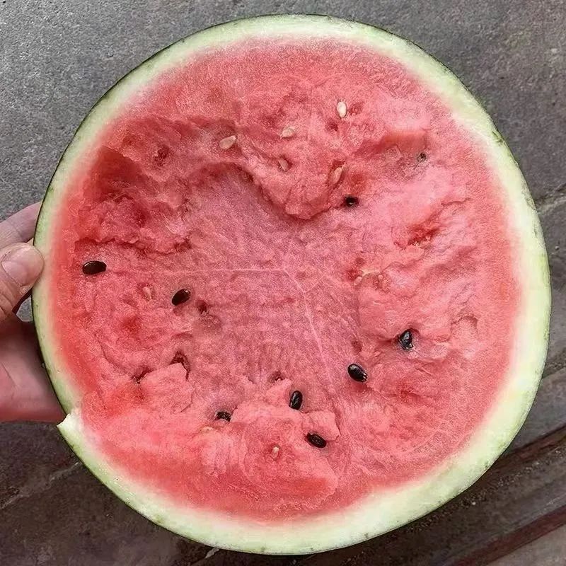 东川发布(微信)