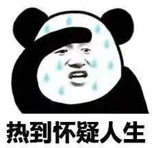 云南政法