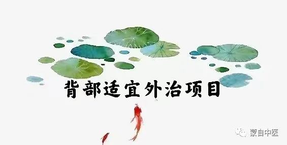 蒙自中医