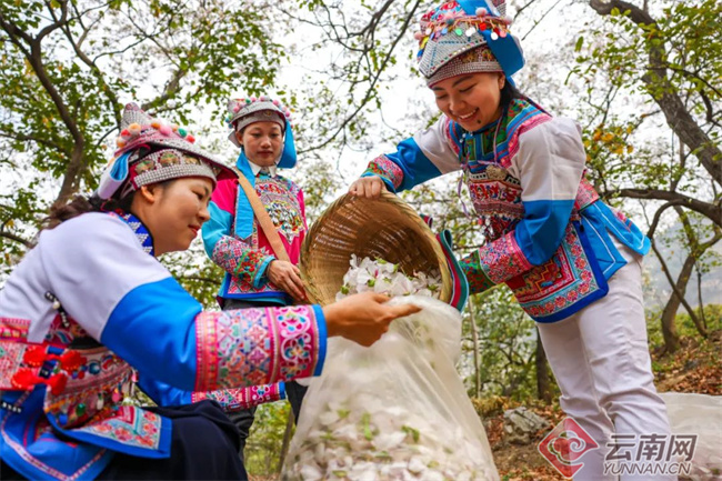 云南省文化和旅游厅