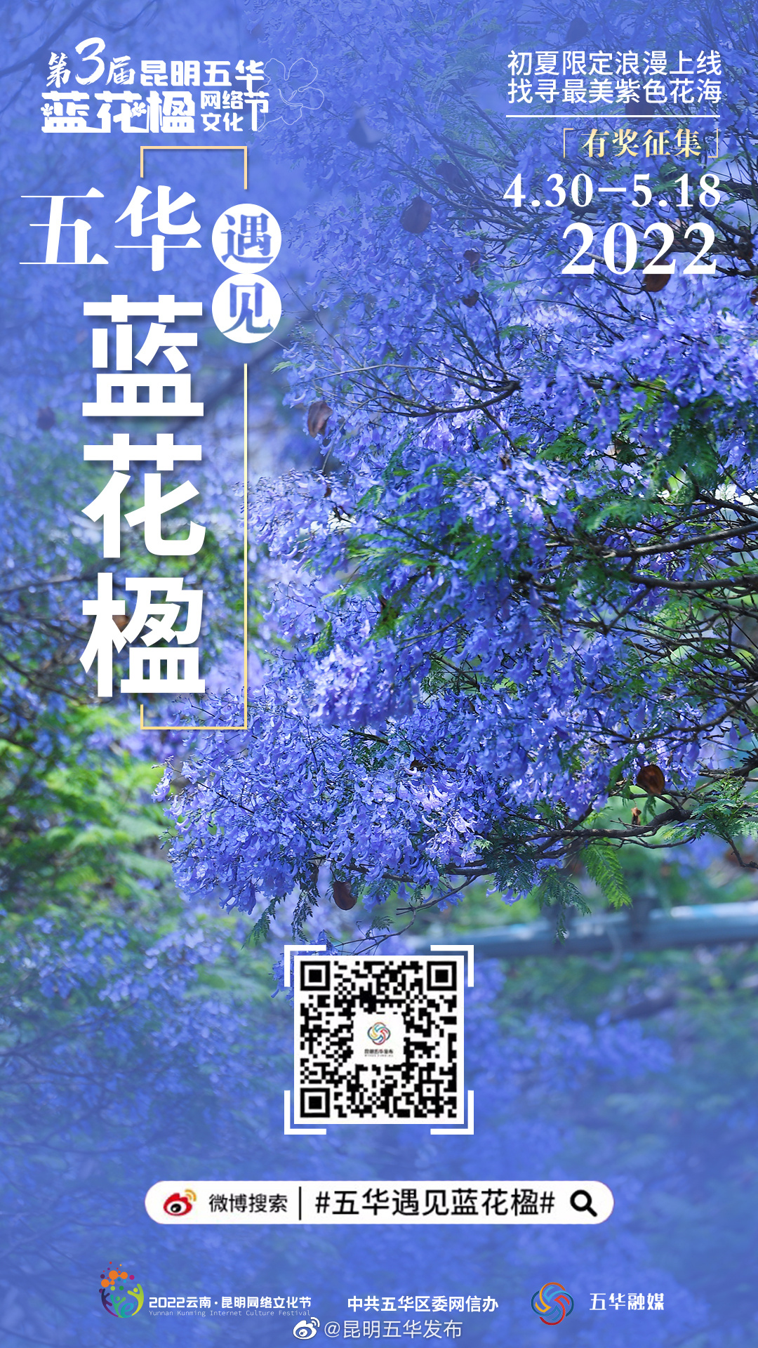 第三届昆明五华蓝花楹文化节活动开始啦