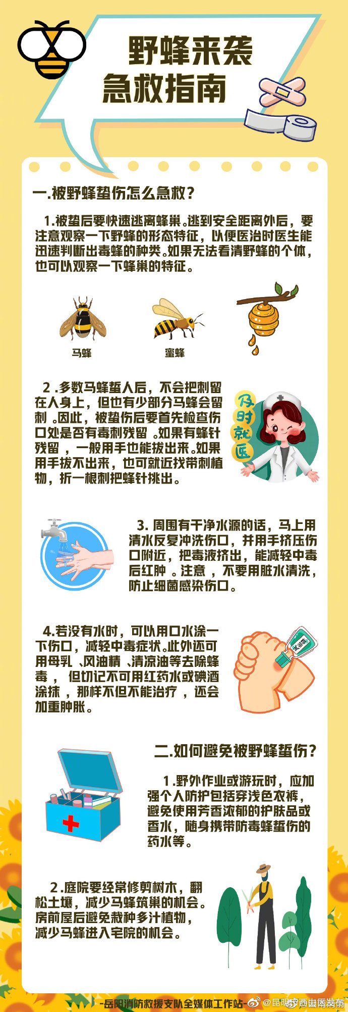 野蜂来袭 急救指南