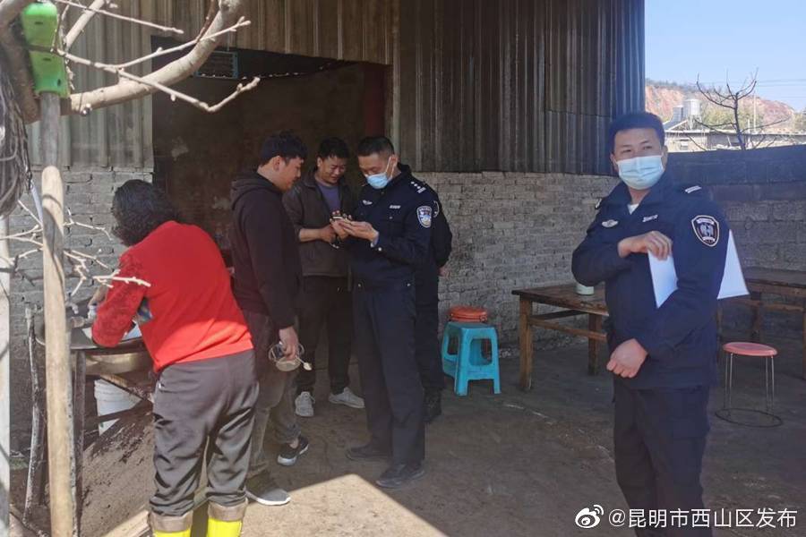 昆明市西山区发布