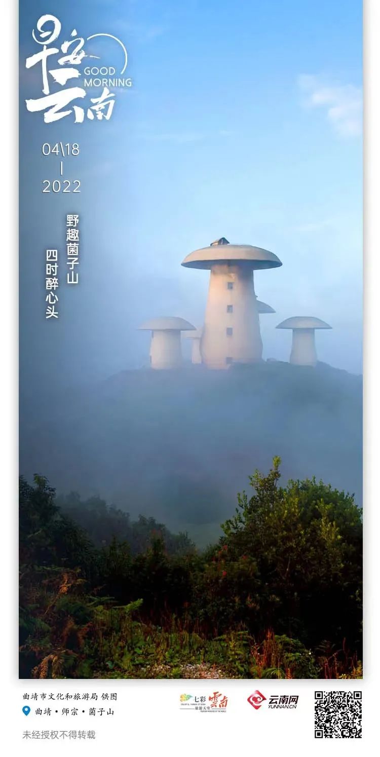 云南省人民政府网