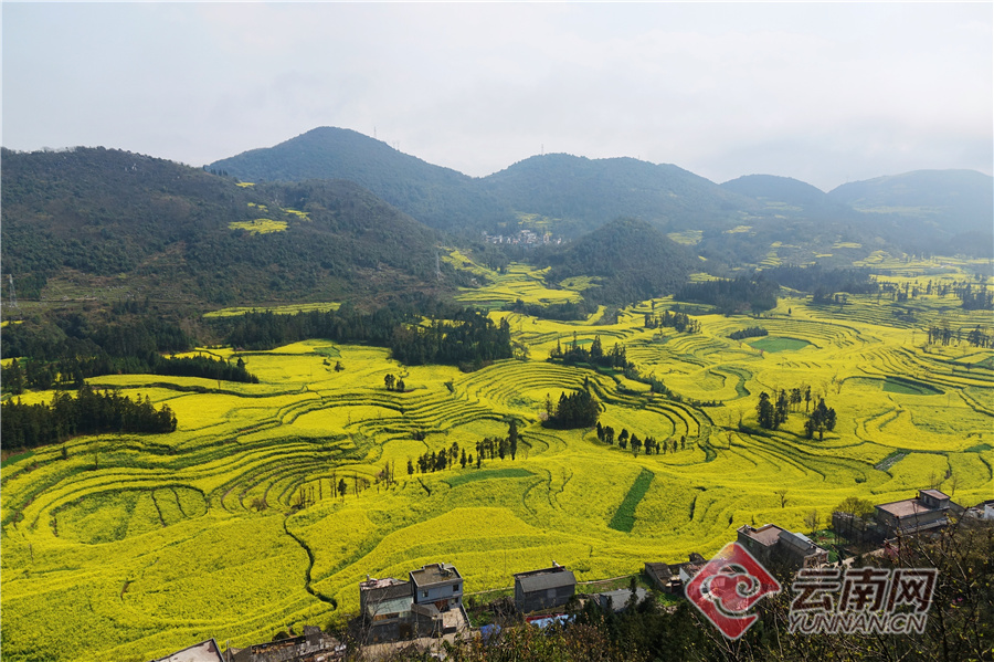 云南省文化和旅游厅