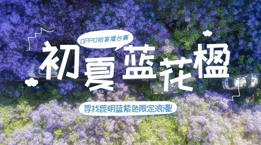 昆明信息港/cnkmxxg