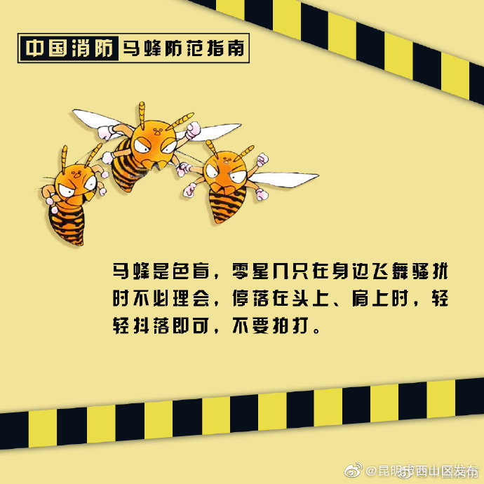 昆明市西山区发布
