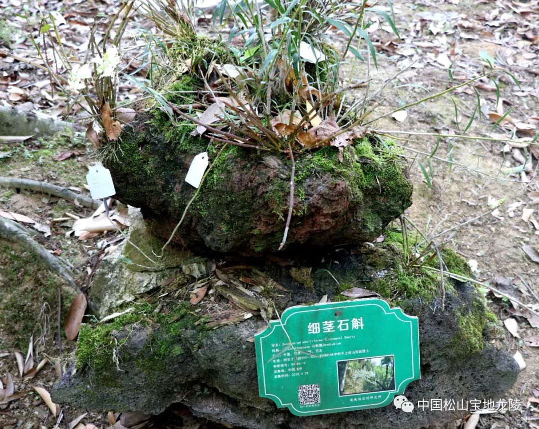 保山新闻网