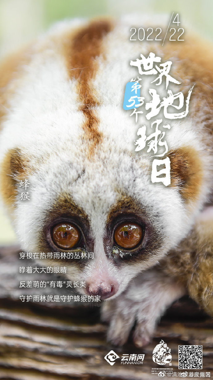 “滇池旅游度假区”微博