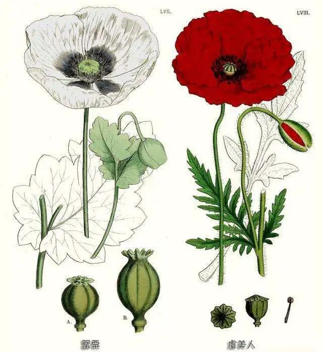 东川发布(微信)