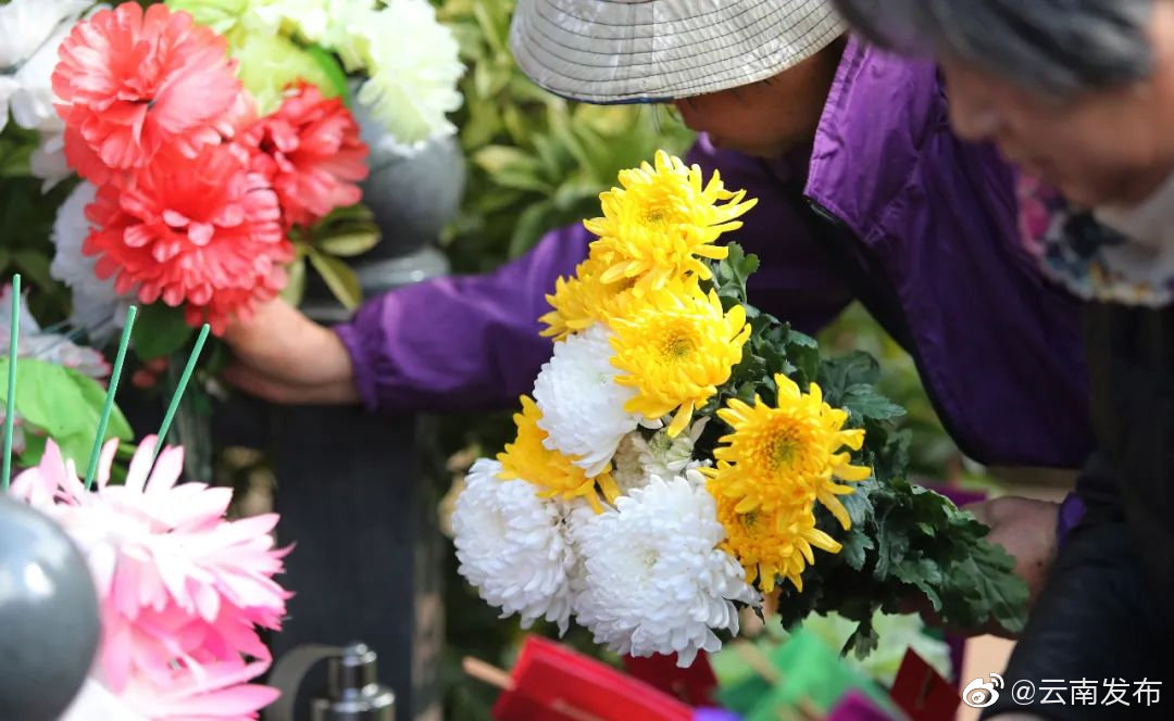 4月4日云南省祭扫情况公布：网络祭扫人次达4.51万