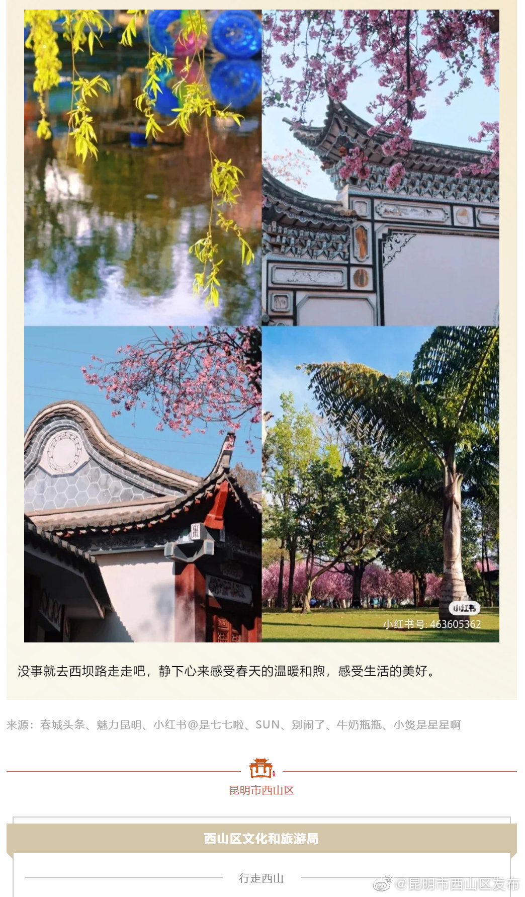 昆明市西山区发布