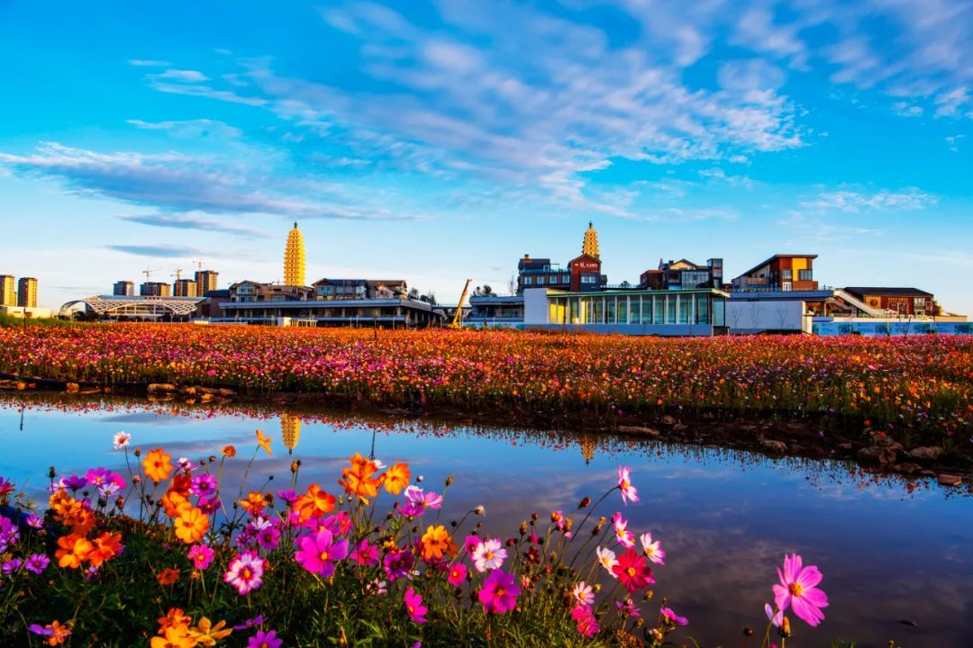 掌上春城微信公众号