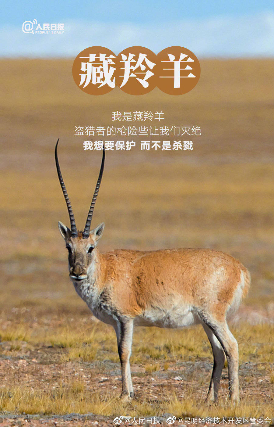 昆明经济技术开发区管委会