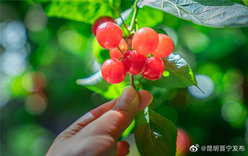 昆明晋宁发布