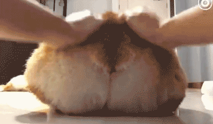 久坐会让臀肌失忆 