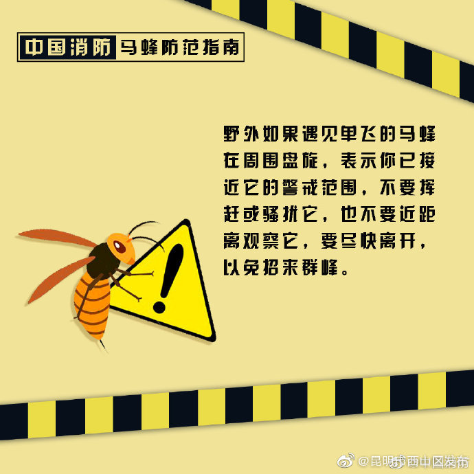 昆明市西山区发布