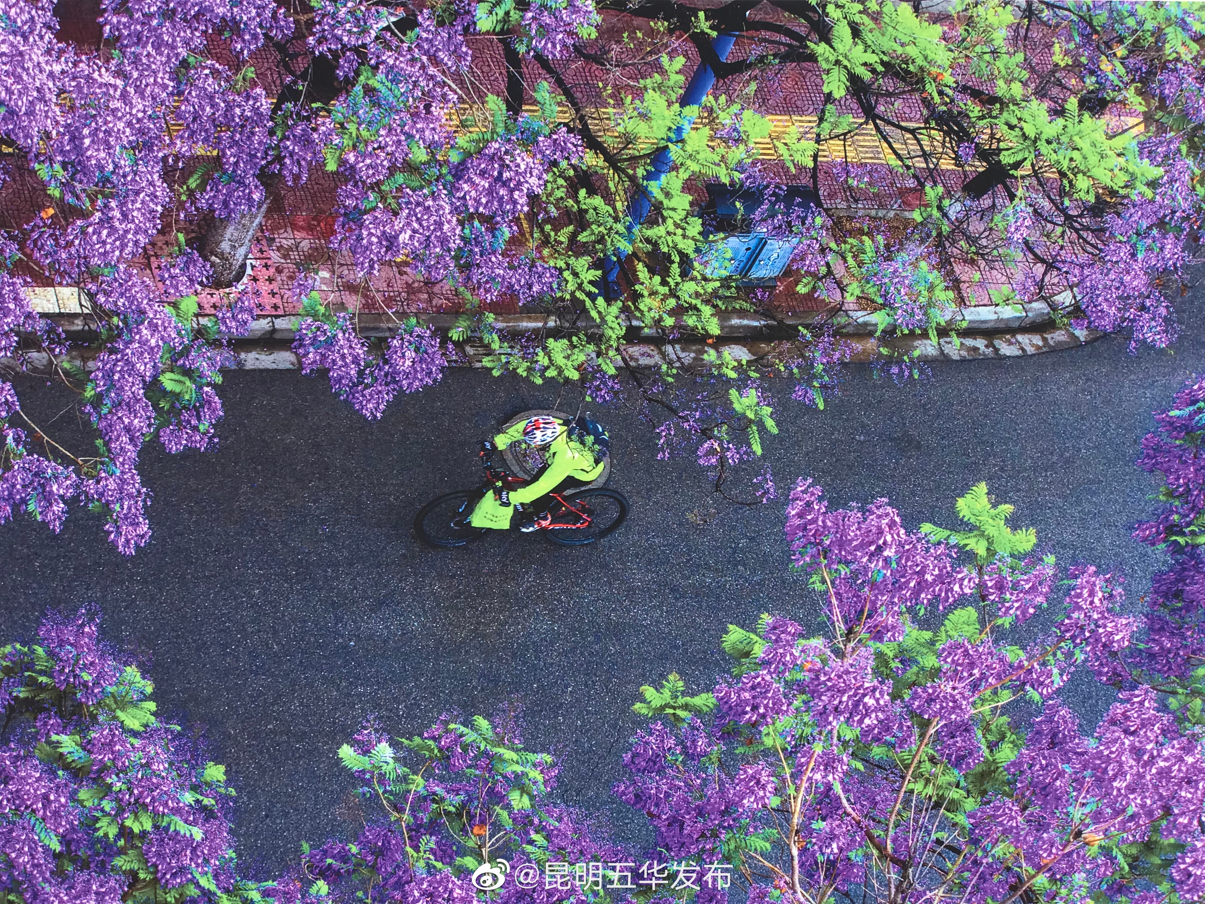 “昆明五华发布”微博