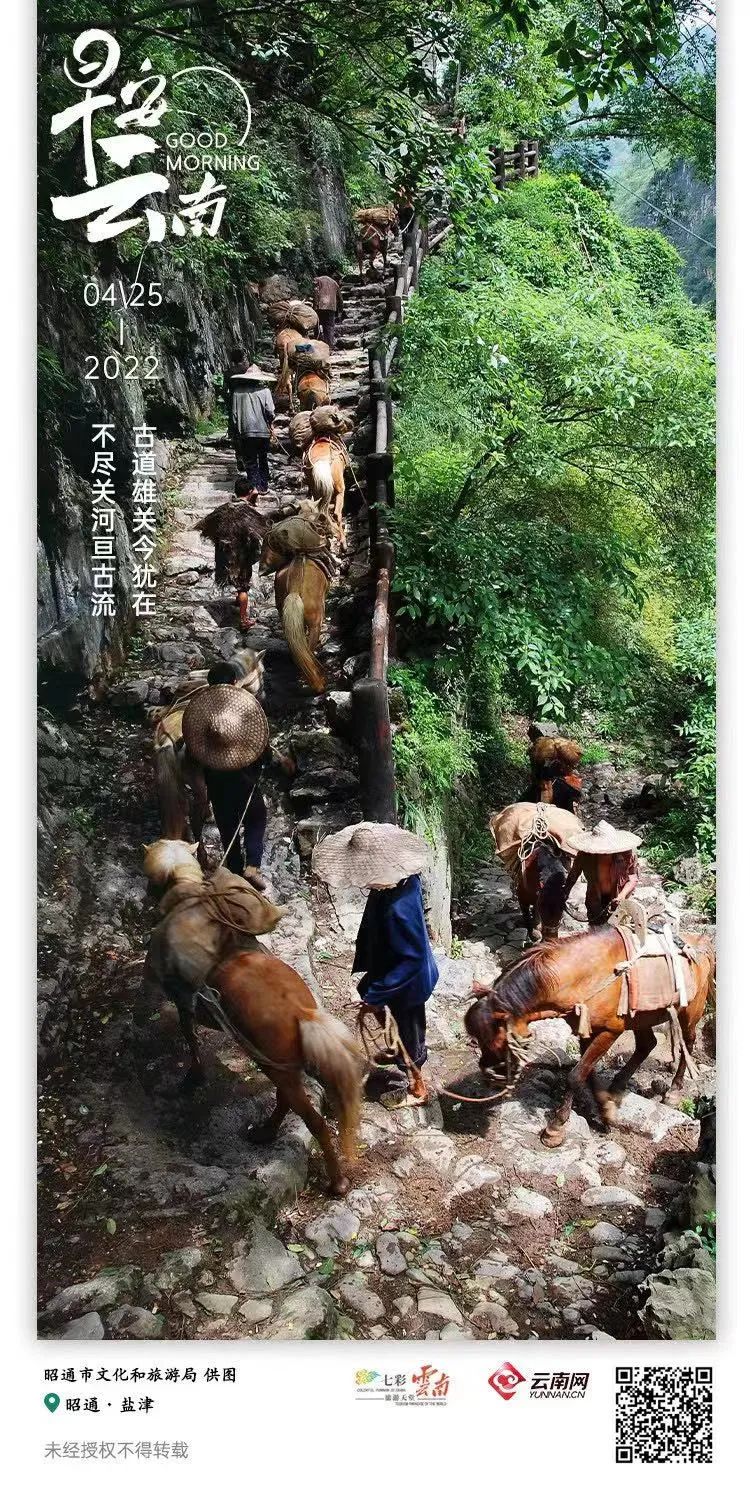 云南省人民政府网