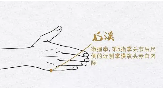 蒙自中医