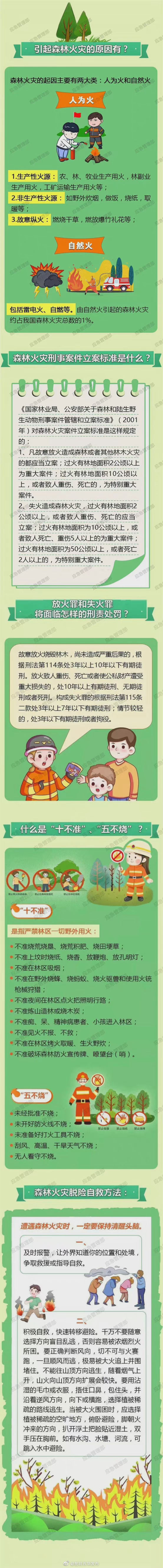 森林火灾的罪与罚，你知道吗？