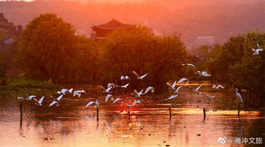 腾冲文旅微博