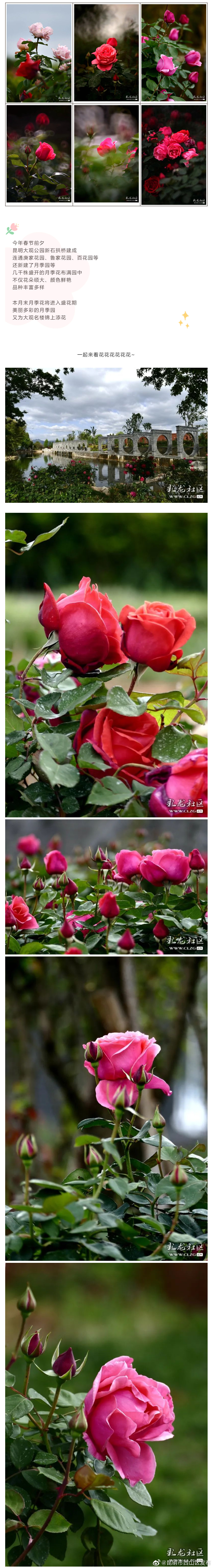 昆明市西山区发布